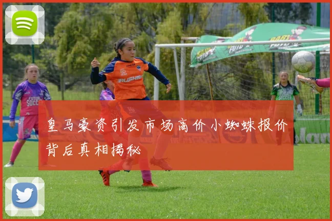 皇马豪资引发市场高价小蜘蛛报价背后真相揭秘