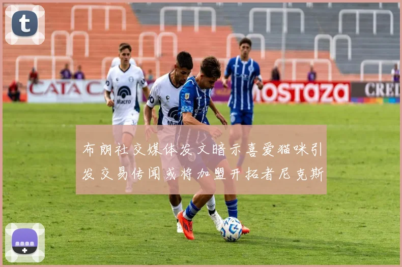 布朗社交媒体发文暗示喜爱猫咪引发交易传闻或将加盟开拓者尼克斯雷霆湖人